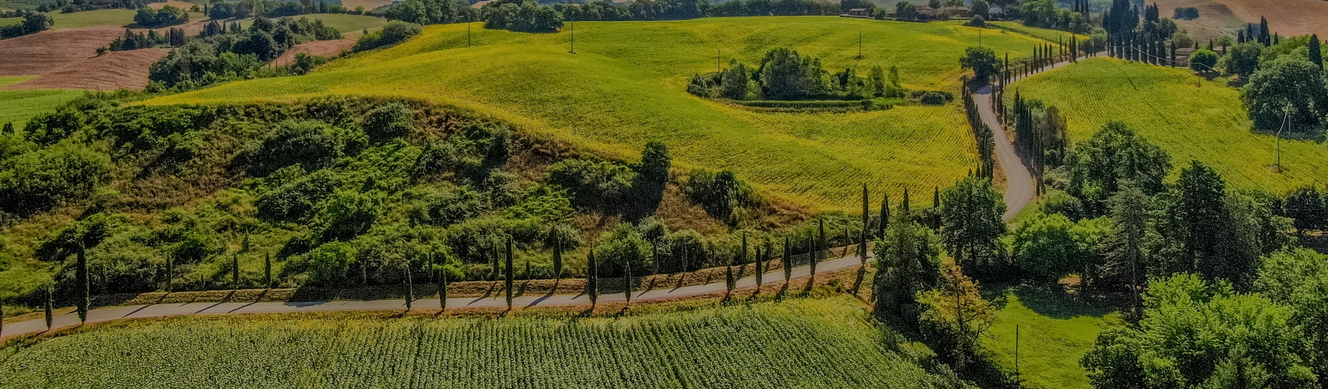 Tuscany